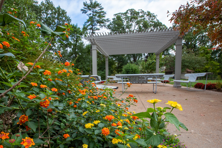 Ibby Danforth Butterfly Garden